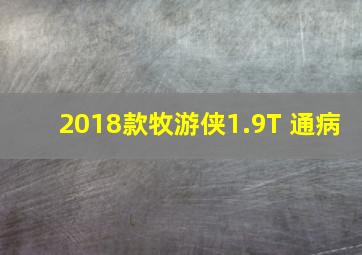 2018款牧游侠1.9T 通病